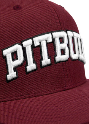 Snapback PITBULL