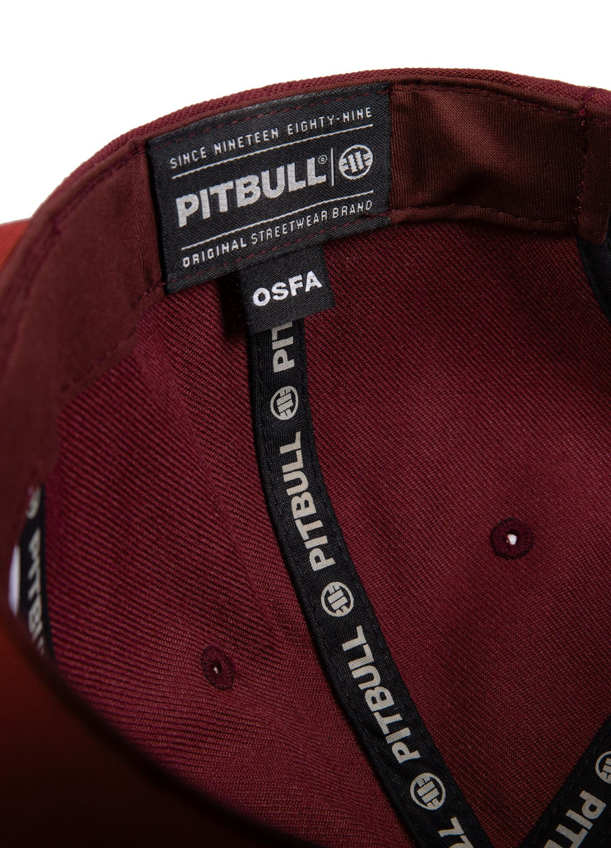 Snapback PITBULL