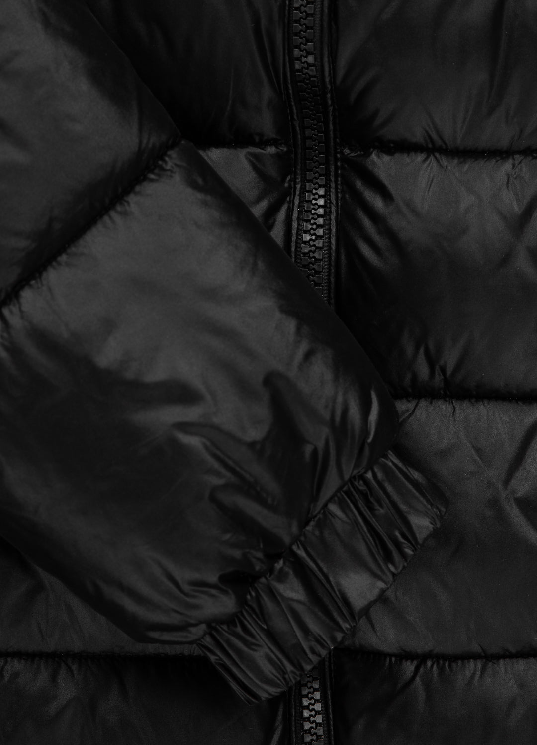 Men&#39;s Jacket Shine 2 Black - Pitbull West Coast International Store 