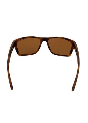 Sunglasses SHIRRA Brown - Pitbull West Coast International Store 