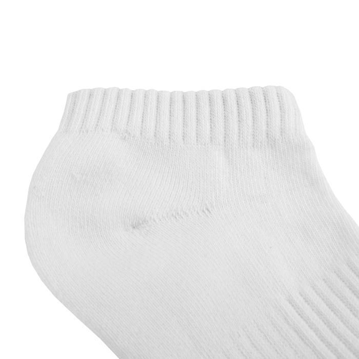 Socks Pad TNT 3pack White - Pitbull West Coast International Store 